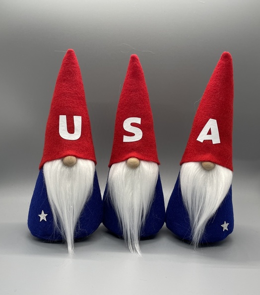 USA Gnomes2.jpg